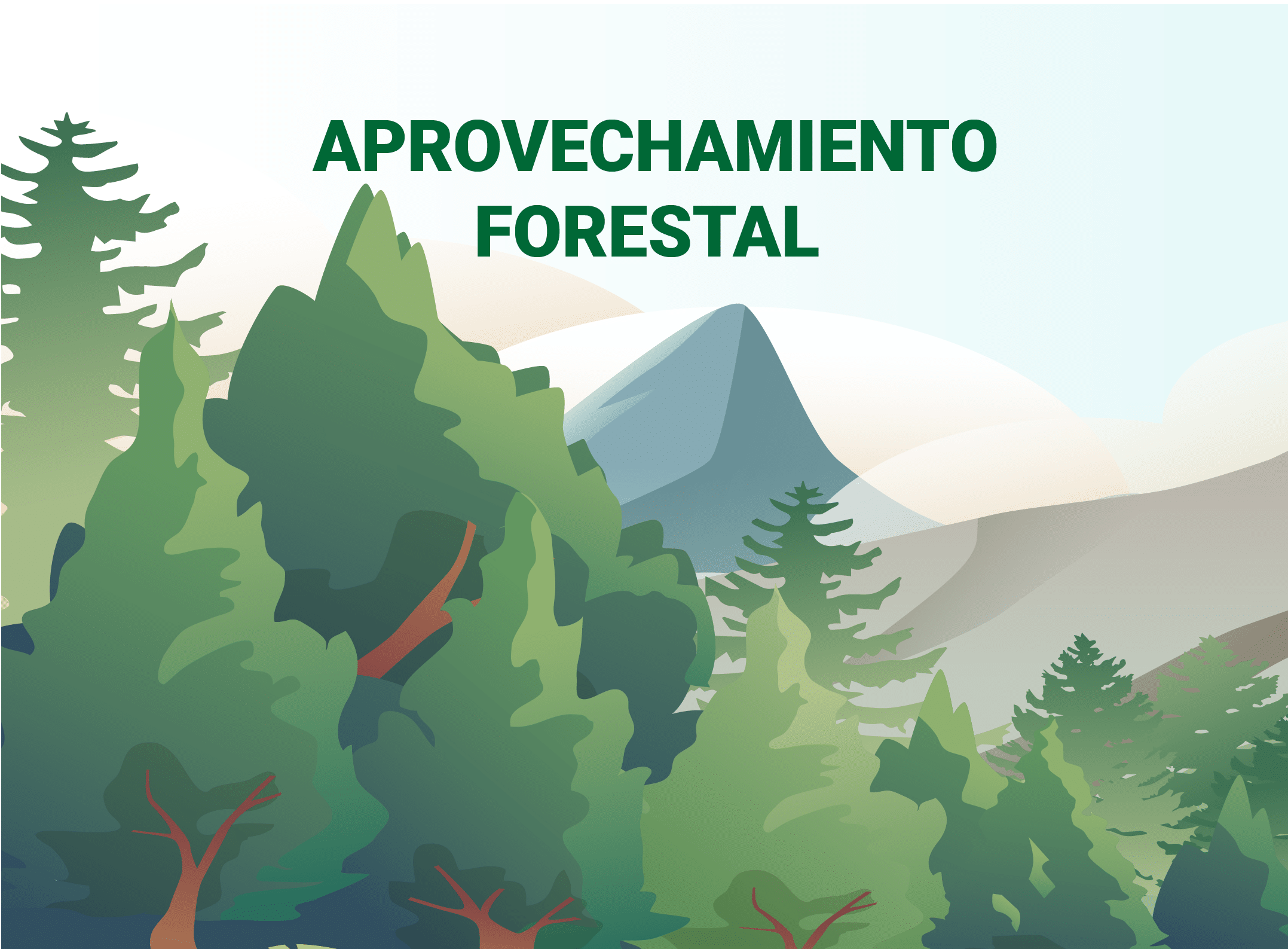 Aprovechamiento forestal 1