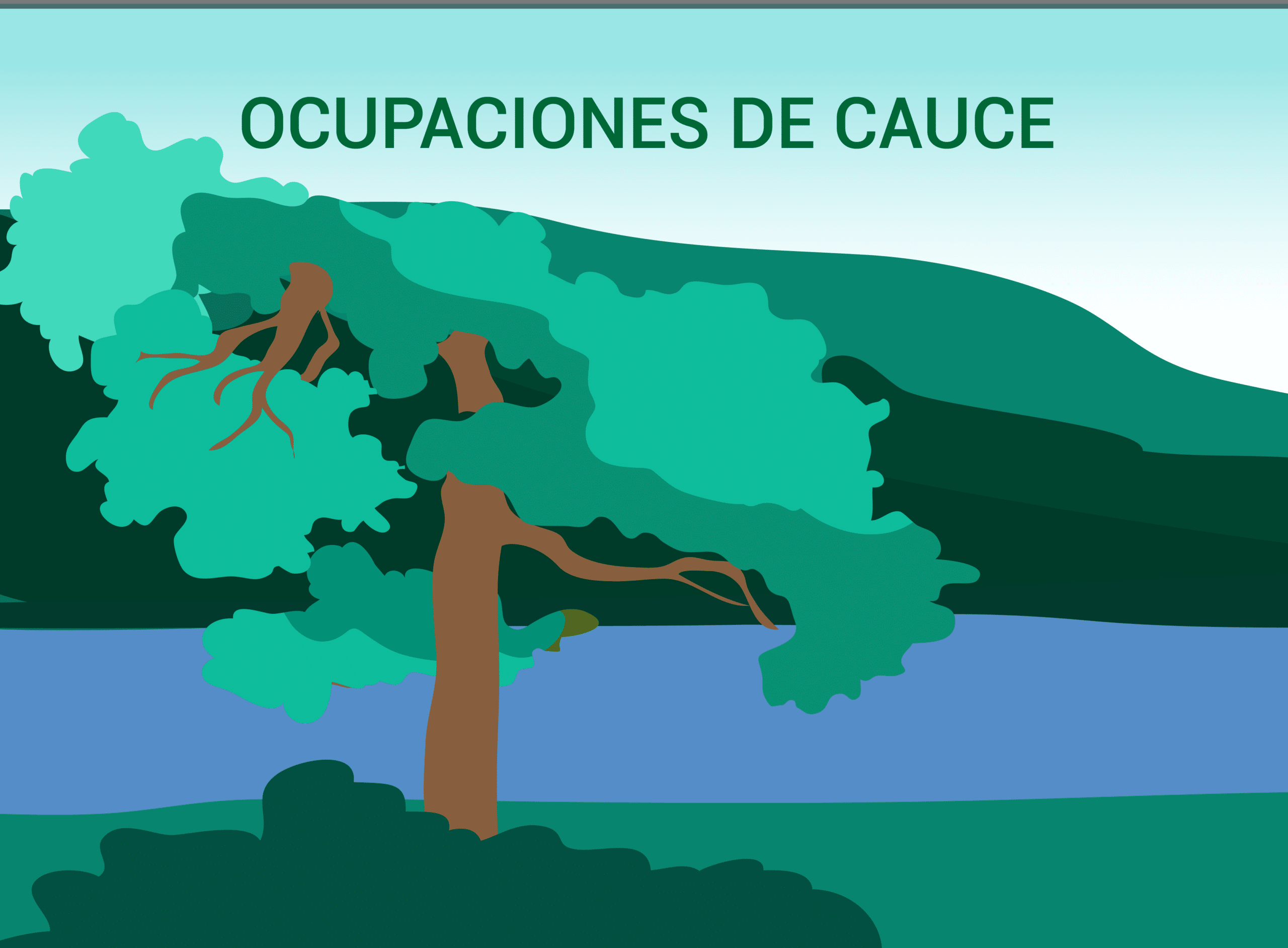 Ocupaciones de cauce 1