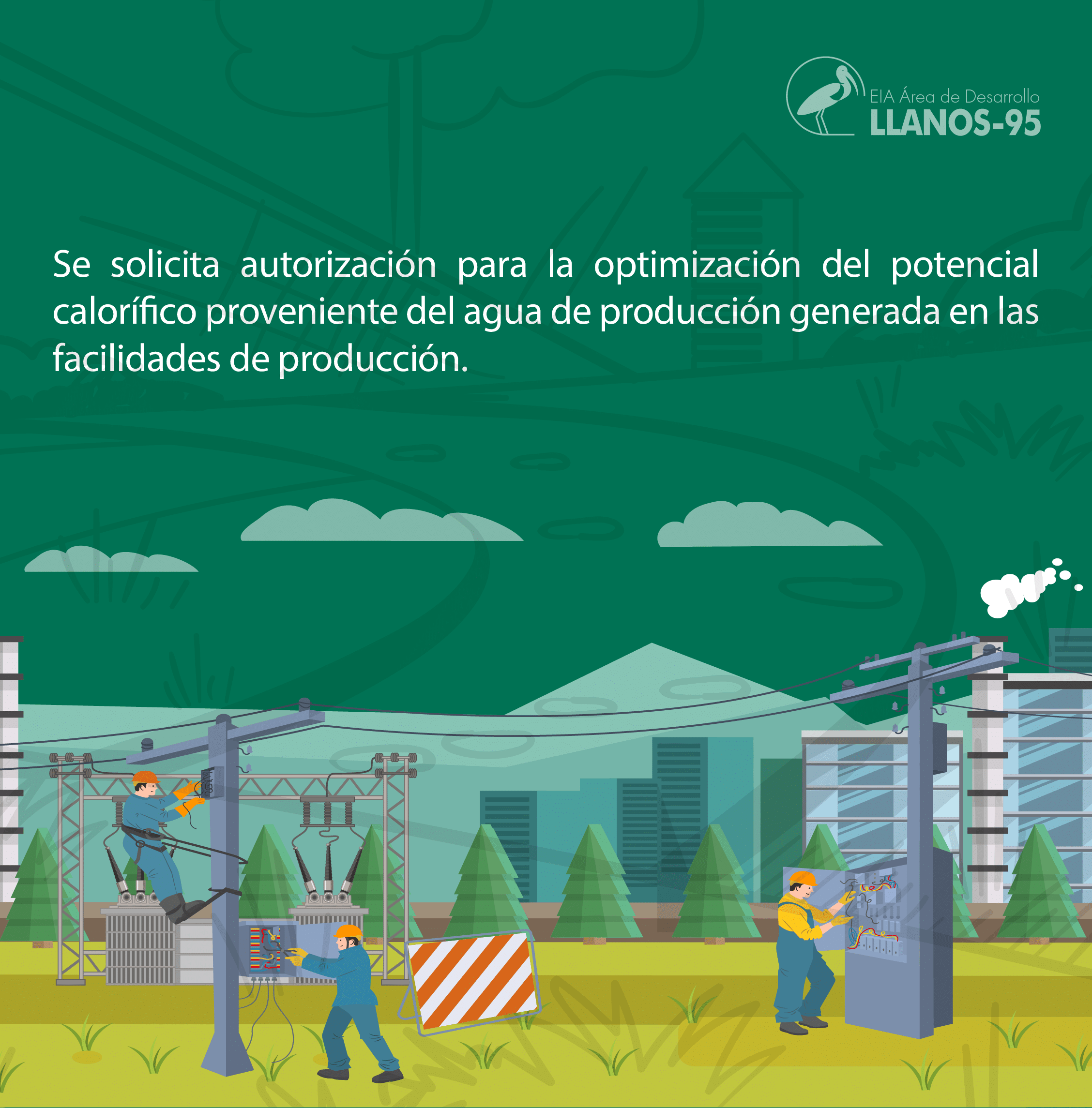 ED-12 (2)