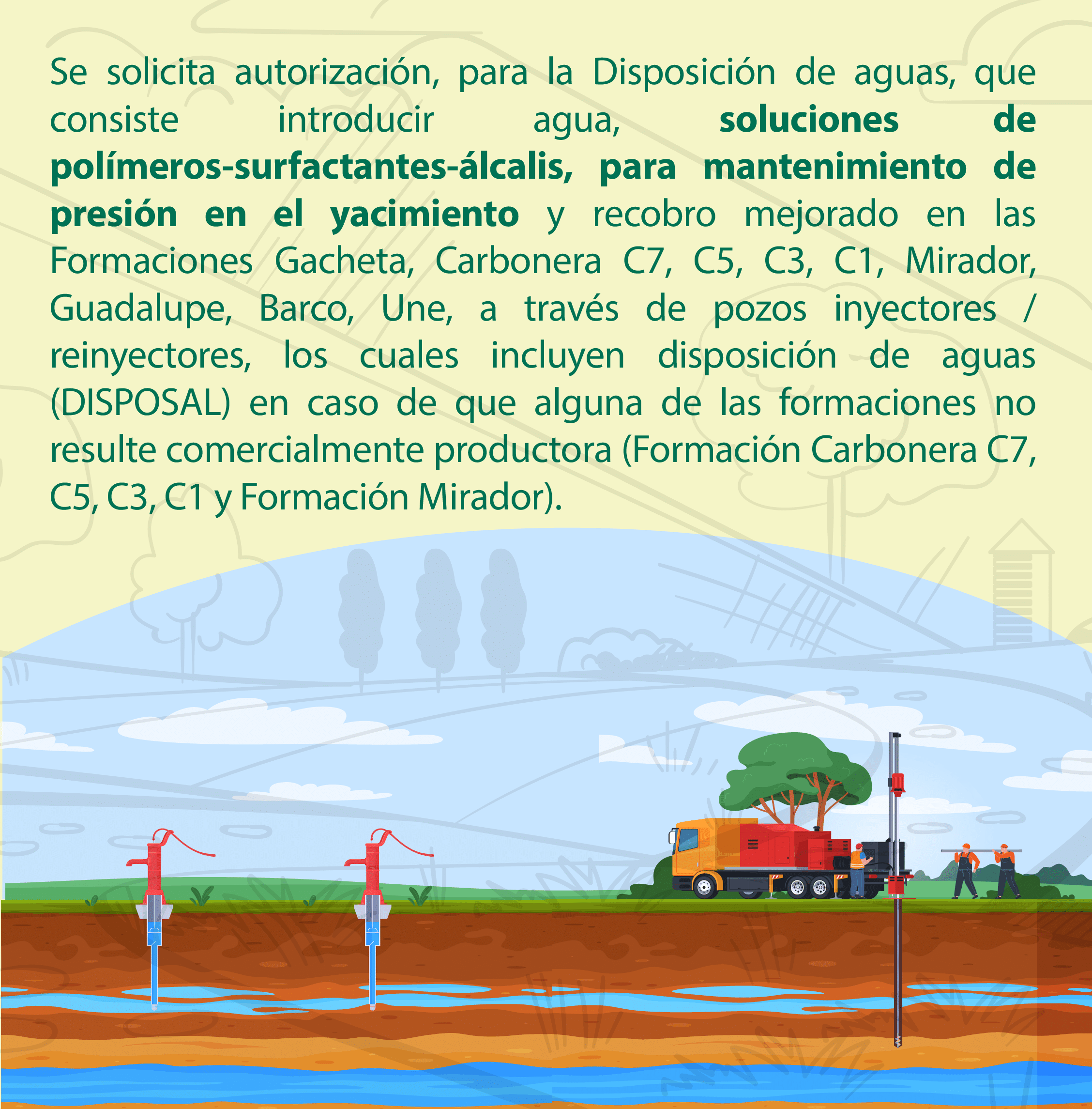 ED-14 (1)