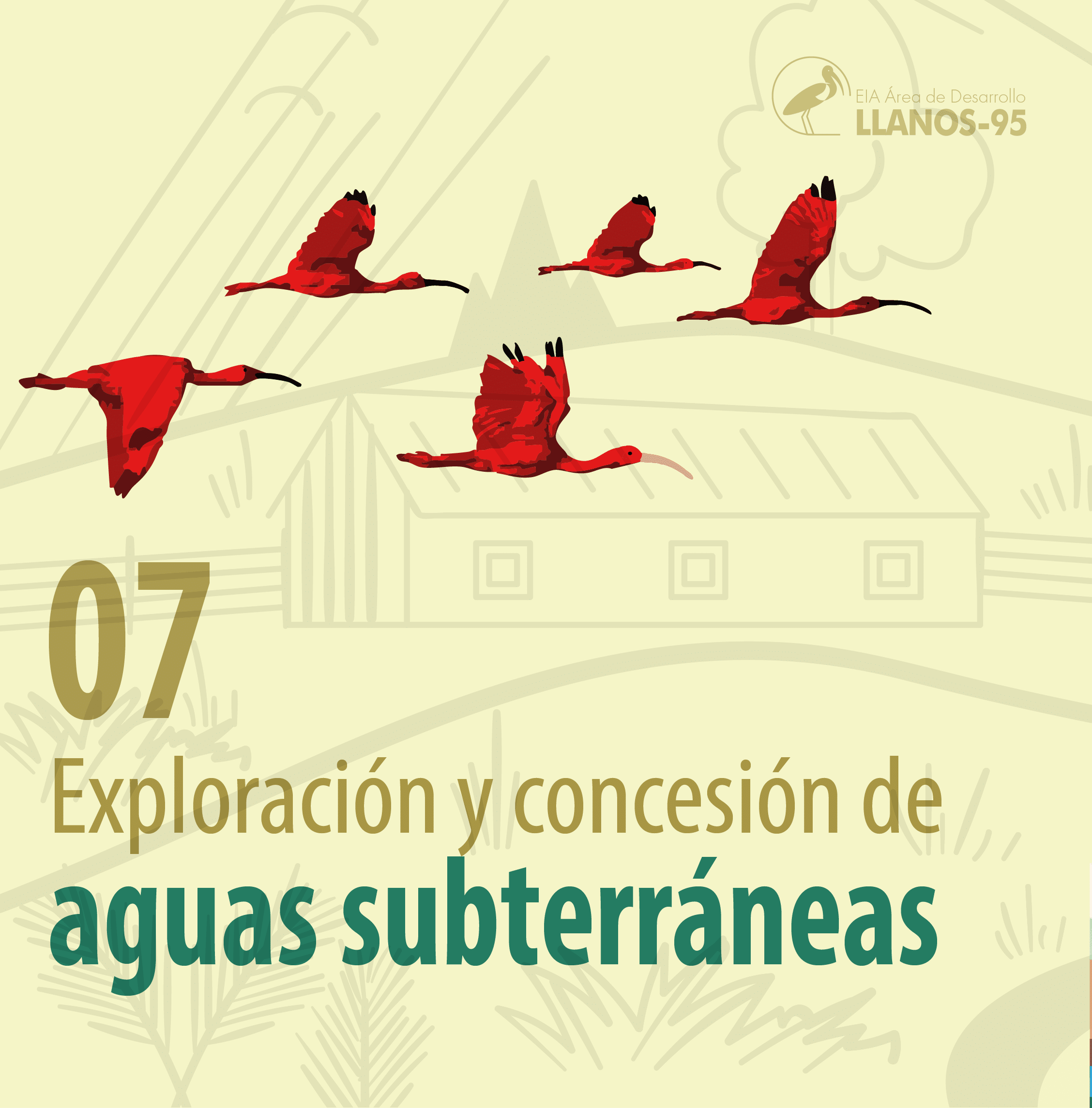 USO Y APRO-13