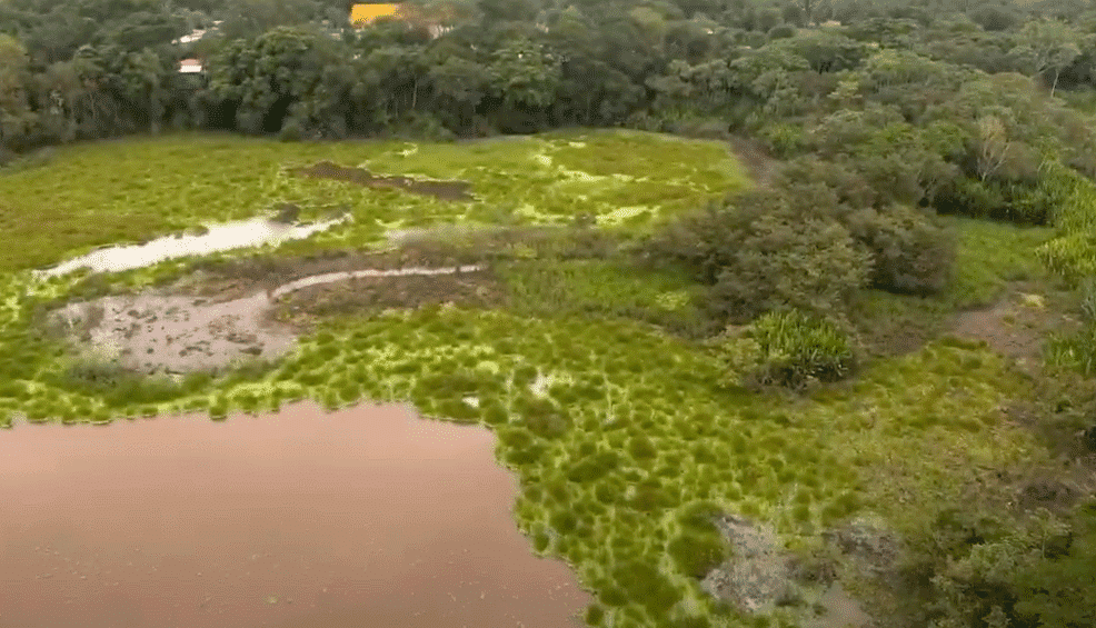 Oxygen Day – Villanueva, Casanare